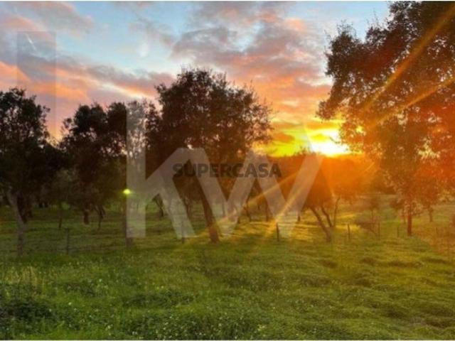 Terreno venda em Santiago Do Cacém, Setúbal