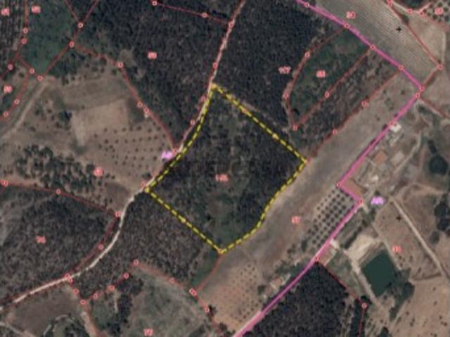 Terreno venda em Rio Maior, Santarém