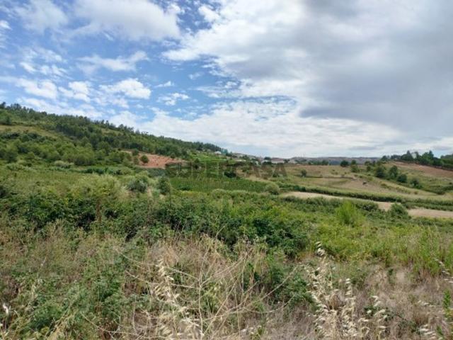 Terreno venda em Cadaval Terreno venda em Cadaval