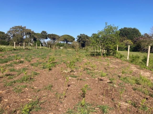 Terreno venda em Sesimbra (Castelo), Sesimbra