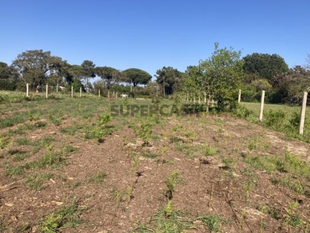 Terreno venda em Sesimbra (Castelo), Sesimbra