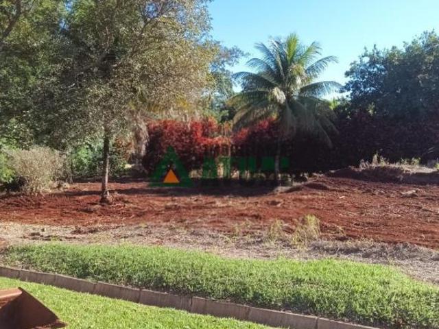 Terreno venda em Região Geográfica Imediata de Telêmaco Borba, Curiuva