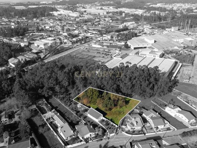 Terreno venda em Vale De Cambra, Aveiro