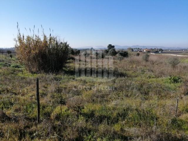 Terreno venda em Poceirão e Marateca, Palmela