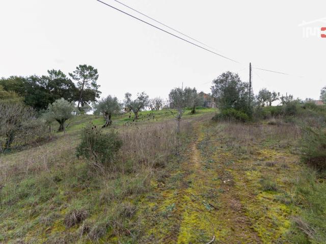 Terreno venda em Ourém, Santarém