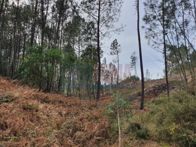 Terreno venda em Covas, Braga
