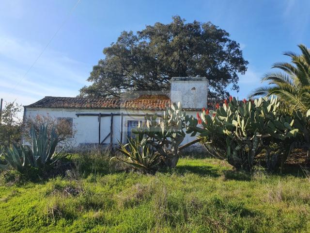 Terreno venda em Grândola e Santa Margarida da Serra, Grândola