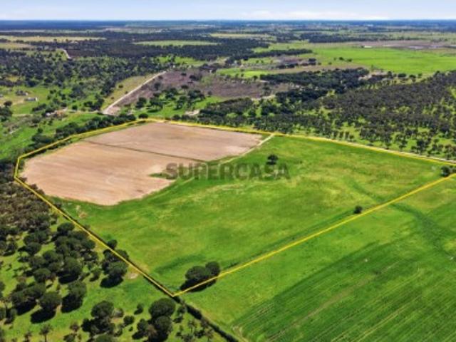 Terreno venda em Alcochete, Setúbal
