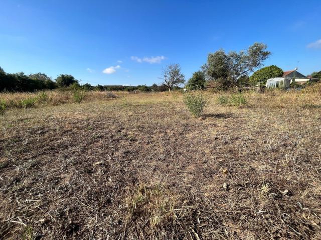 Terreno venda em Montemor-o-velho, Coimbra