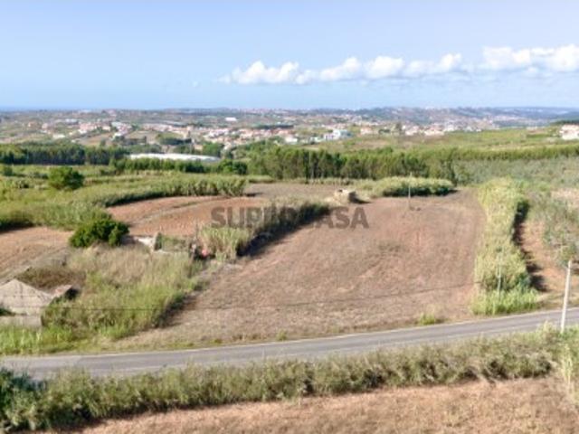 Terreno venda em Torres Vedras Terreno venda em Torres Vedras