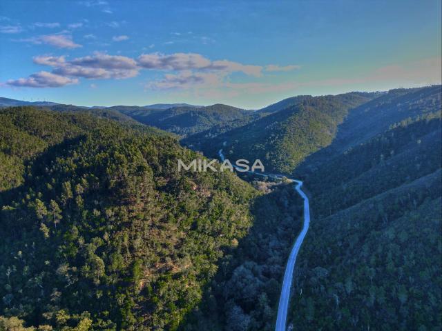 Quinta venda em Monchique, Faro