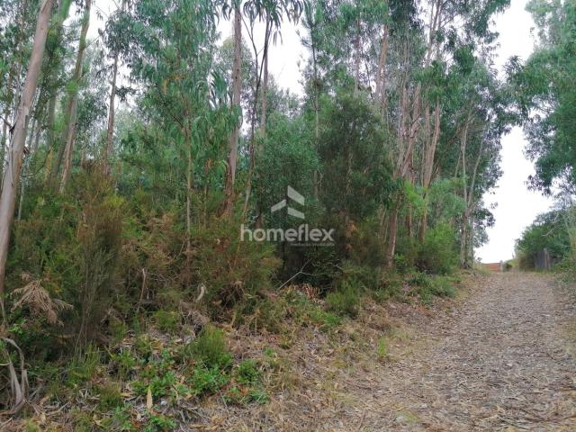 Terreno venda em Ferrugenta, Figueira Da Foz