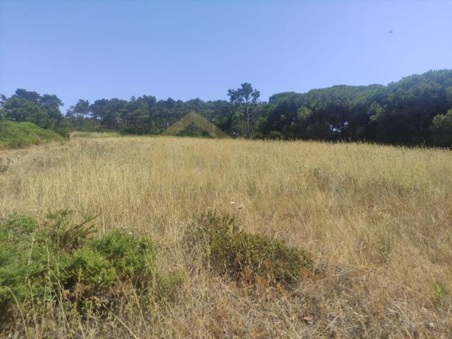 Terreno venda em Sesimbra (Castelo), Sesimbra