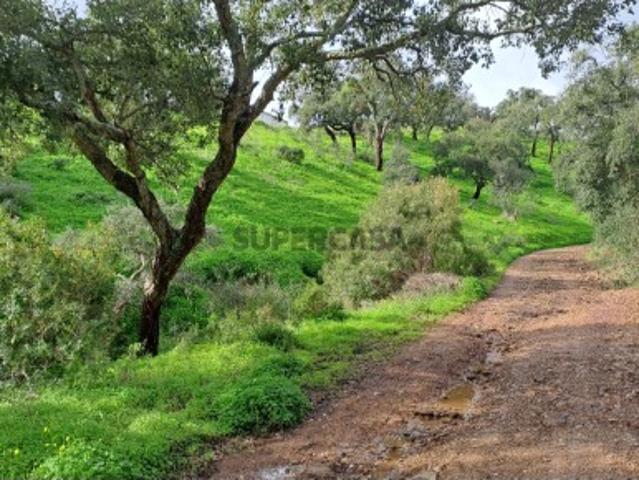 Terreno venda em Santa Catarina da Fonte do Bispo, Tavira