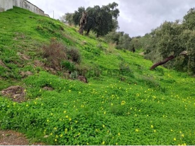 Terreno venda em Santa Catarina da Fonte do Bispo, Tavira