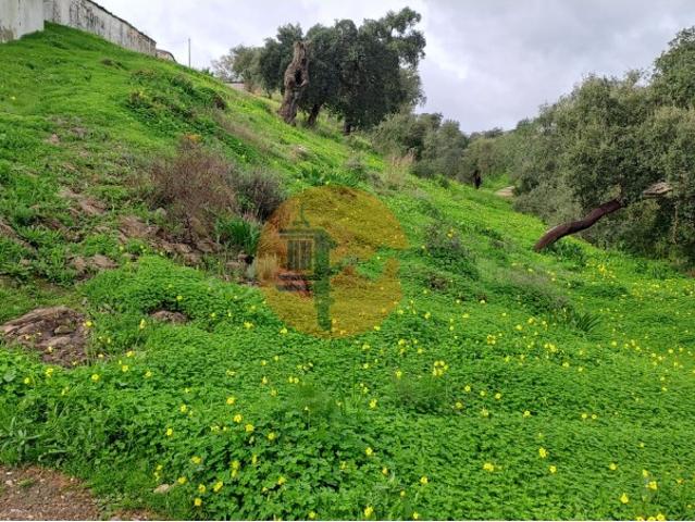 Terreno venda em Santa Catarina da Fonte do Bispo, Tavira