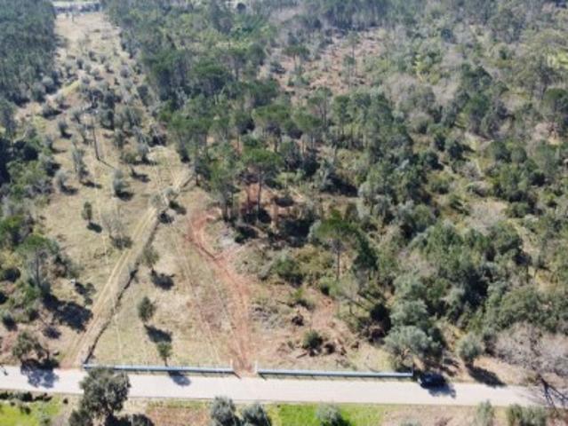 Terreno venda em Coimbrã, Ribeira De Frades