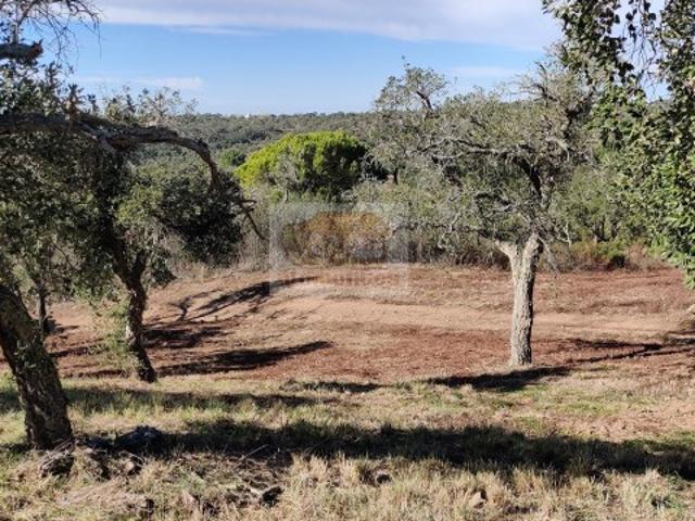 Terreno venda em Santiago Do Cacém, Setúbal