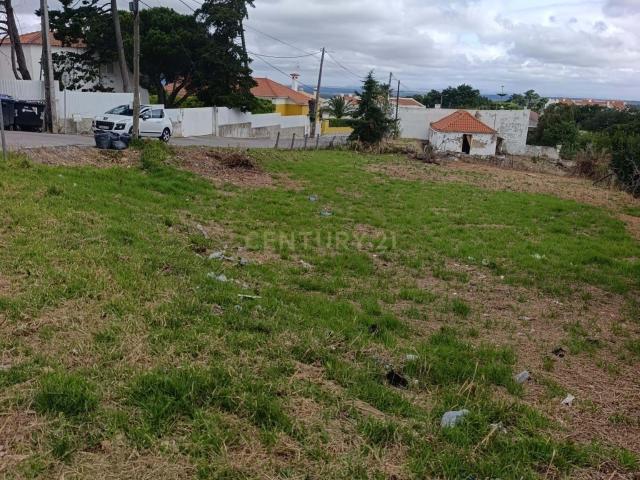Terreno venda em Venda Nova, Sesimbra