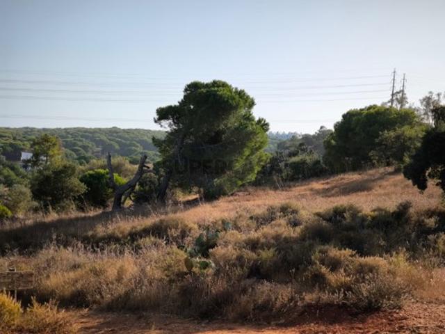 Terreno venda em Fonte e Azeda, Castro Marim