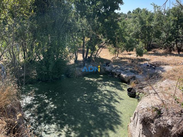 Terreno venda em Castelo Branco, Aldeia Nova Do Cabo