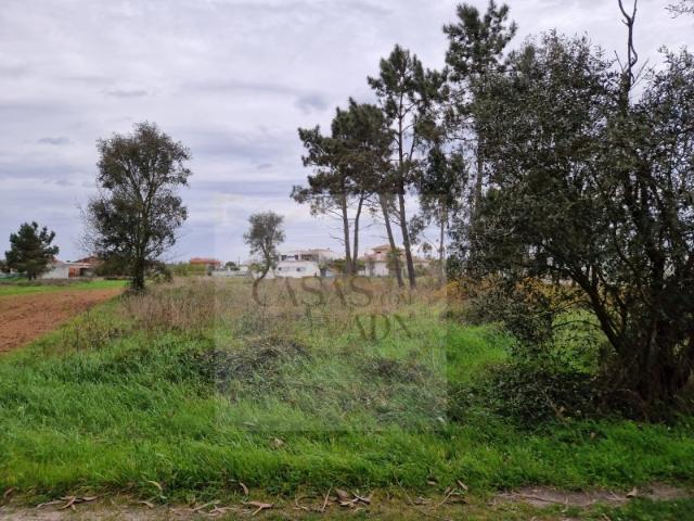 Terreno venda em Ponte De Vagos, Aveiro
