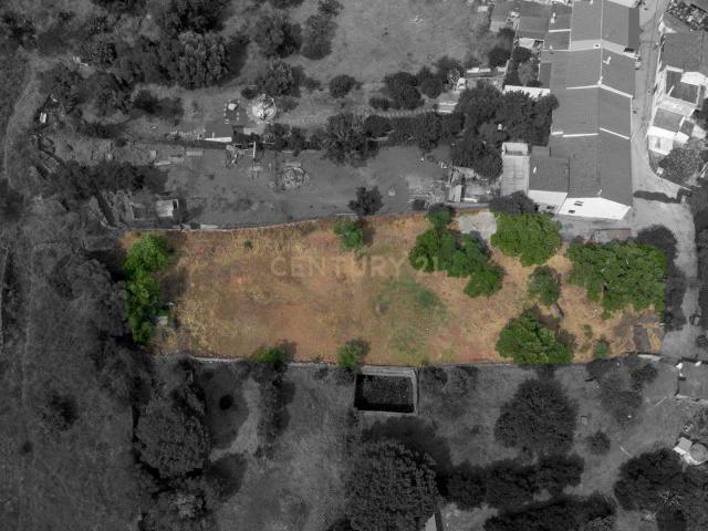 Terreno venda em São Bartolomeu De Messines, Faro