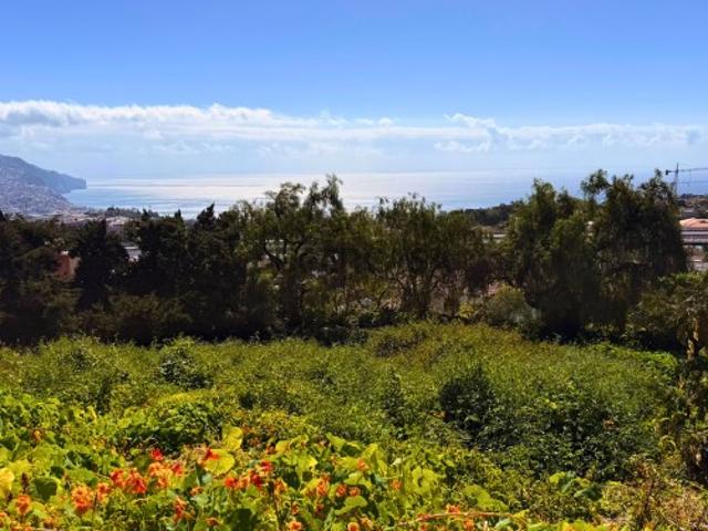 Terreno venda em Funchal, Ilha Da Madeira