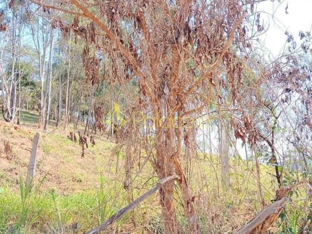Terreno venda em Região Imediata de Guaratinguetá, Região Metropolitana do Vale do Paraíba e Litoral Norte