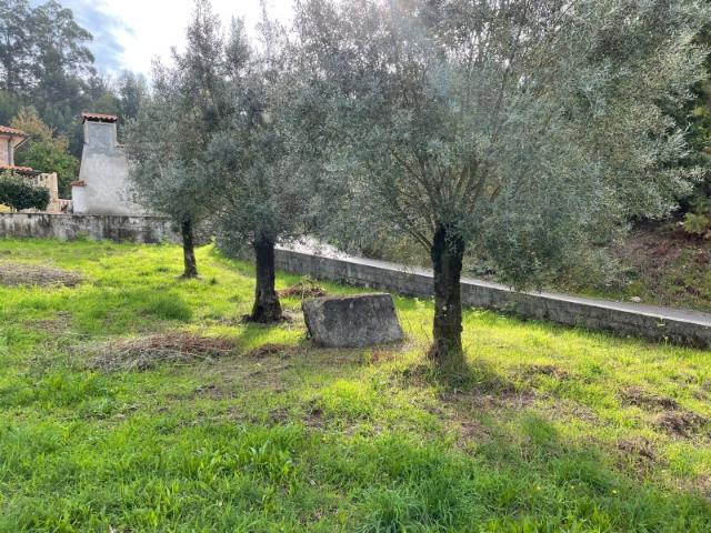 Terreno venda em Ribeira, Ribeira