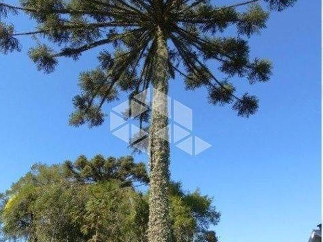 Terreno venda em Região Geográfica Imediata de Caxias do Sul, Canela