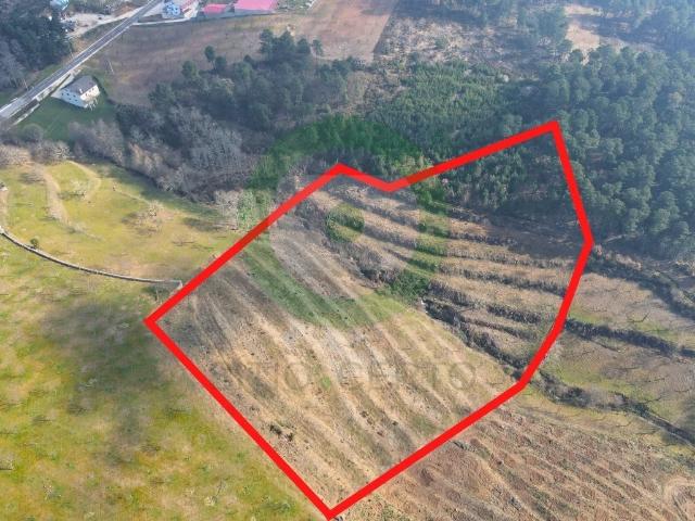Terreno venda em Argeriz, Vila Real