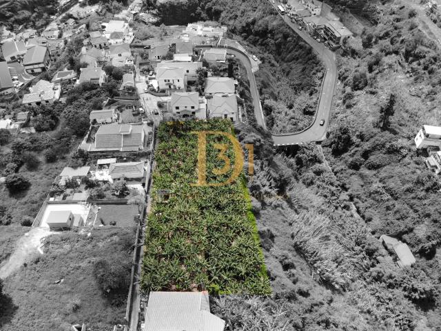 Terreno venda em Boa Nova, Funchal