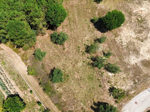 Terreno venda em Pombal, Carnide