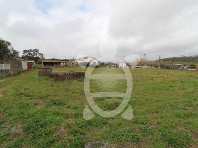 Terreno venda em Leiria