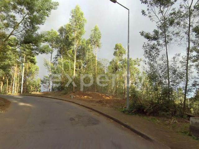 Terreno venda em Santa Cruz, Ilha Da Madeira