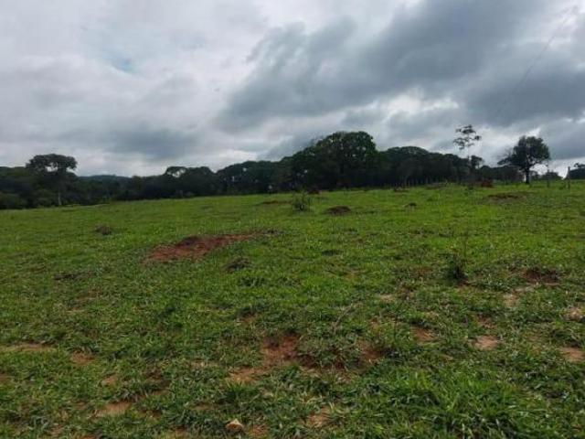 Terreno venda em Piracema
