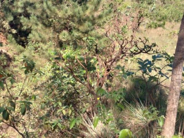 Terreno venda em Região Geográfica Imediata do Distrito Federal, Região Integrada de Desenvolvimento do Distrito Federal e Entorno