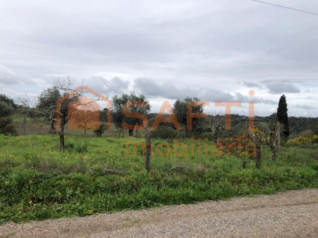 Terreno venda em Brogueira