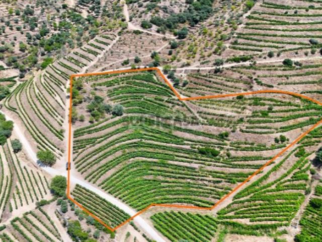 Terreno venda em Nagoselo Do Douro, Viseu
