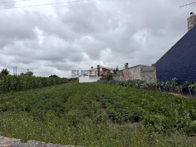 Terreno venda em Aveiro
