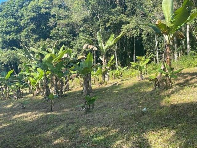 Terreno venda em Colônia Sesmaria, Morretes