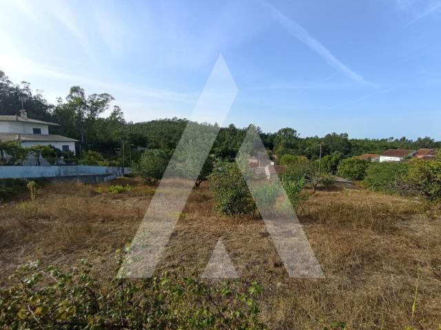 Terreno venda em Figueira da Azóia, Soure