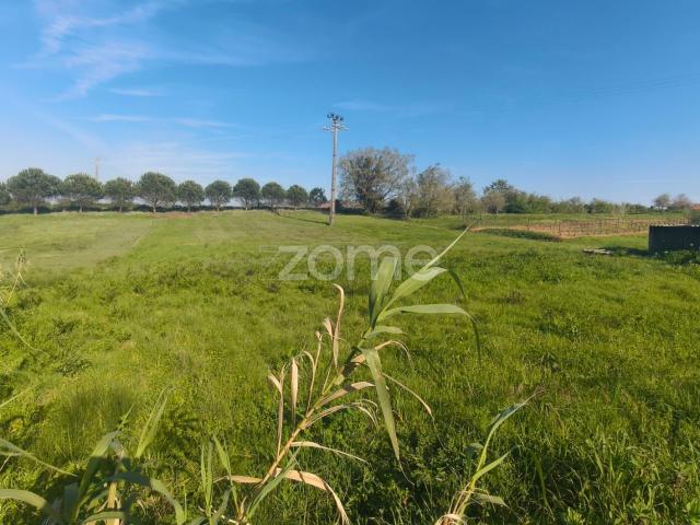 Terreno venda em Cavalinhos, Leiria