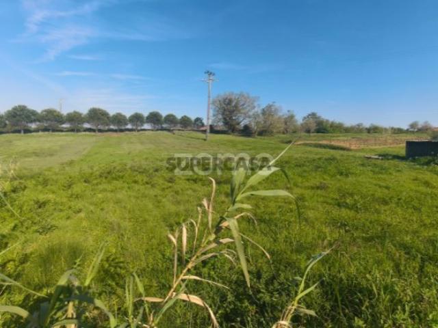 Terreno venda em Maceira, Leiria