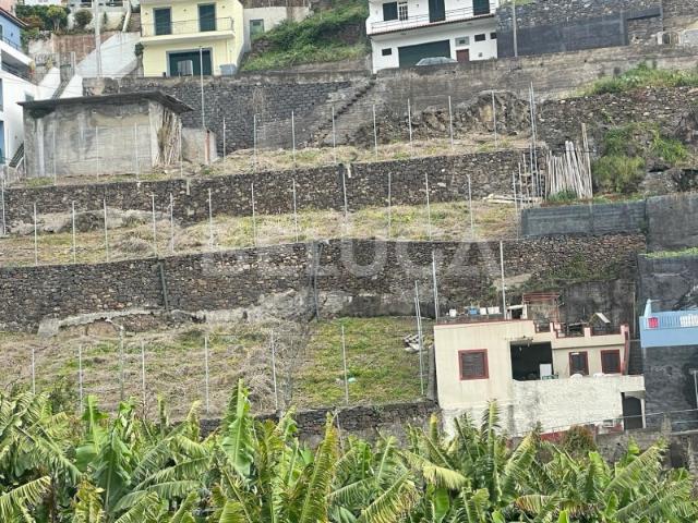Terreno venda em Câmara De Lobos, Ilha Da Madeira