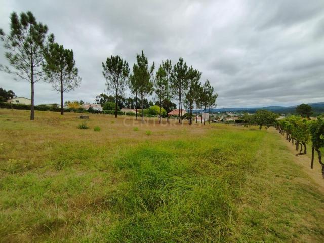 Terreno venda em Pombal, Leiria