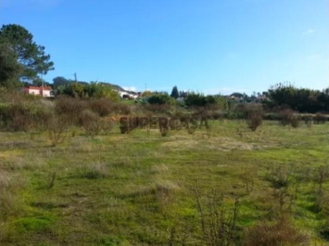 Terreno venda em Machados, Leiria