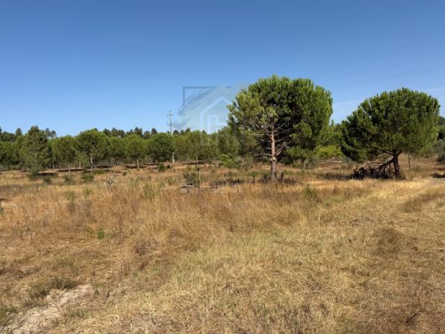 Terreno venda em Sarilhos Grandes, Montijo
