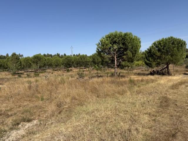 Terreno venda em Montijo, Setúbal